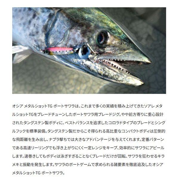 OCEA メタルショットTG 40g ボートサワラ